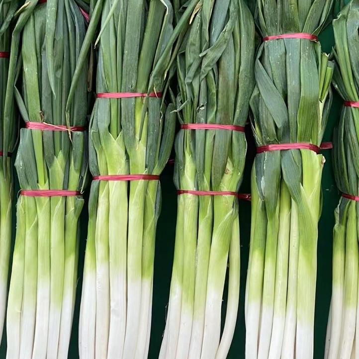 农家小袁_章丘大葱