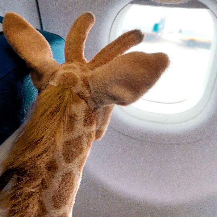 无意间（见过老薛十勤版）🌾