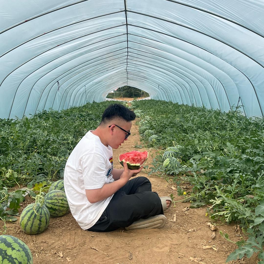 郑法中美都西瓜种植基地