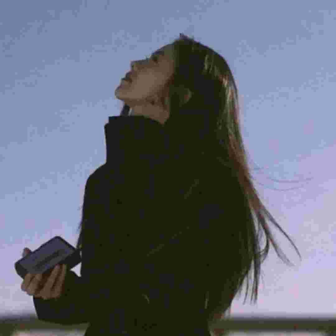 热爱 🌸