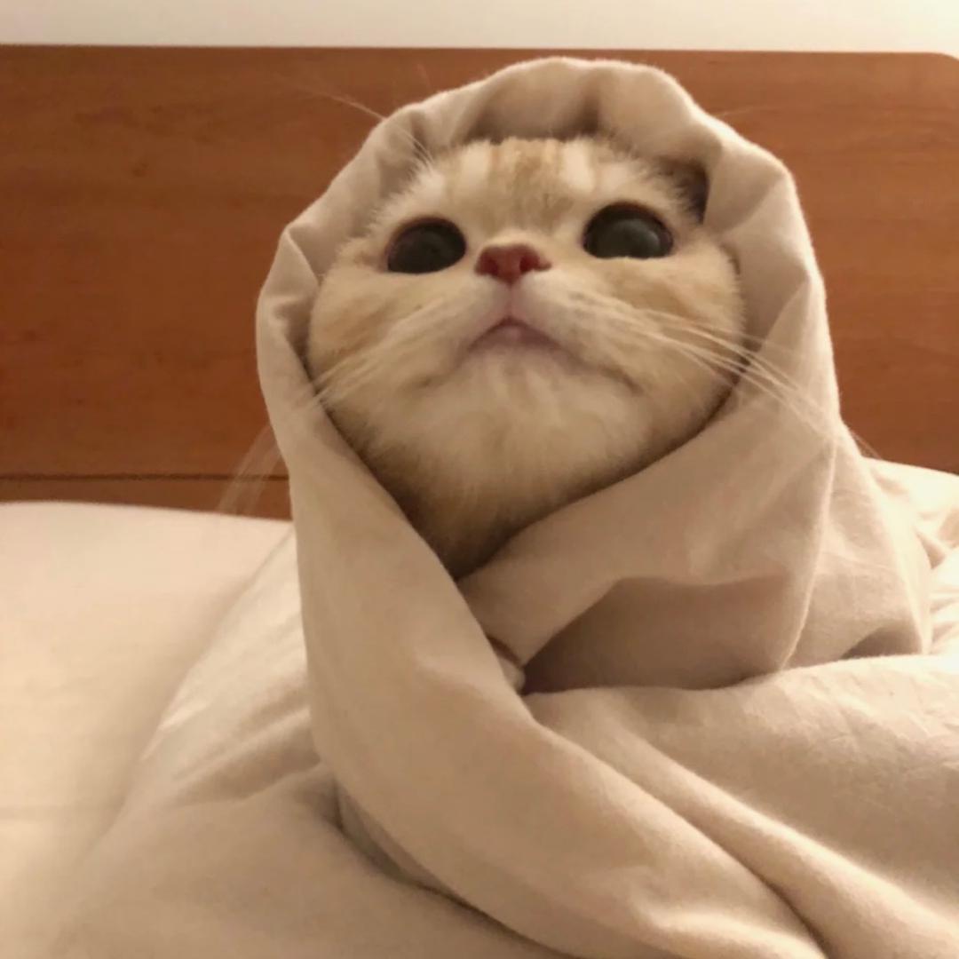 稀饭妹妹
