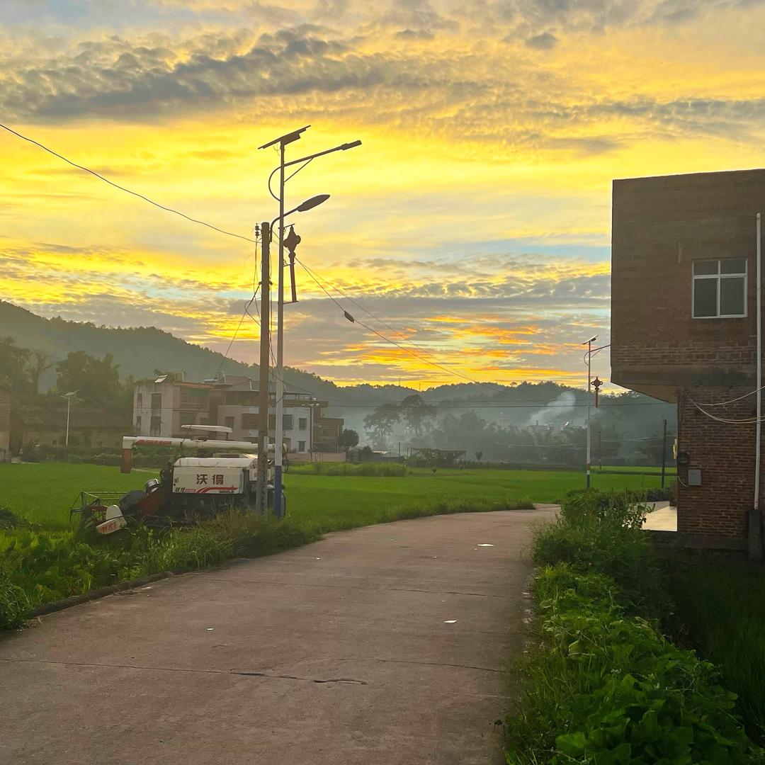 起风了🌬️