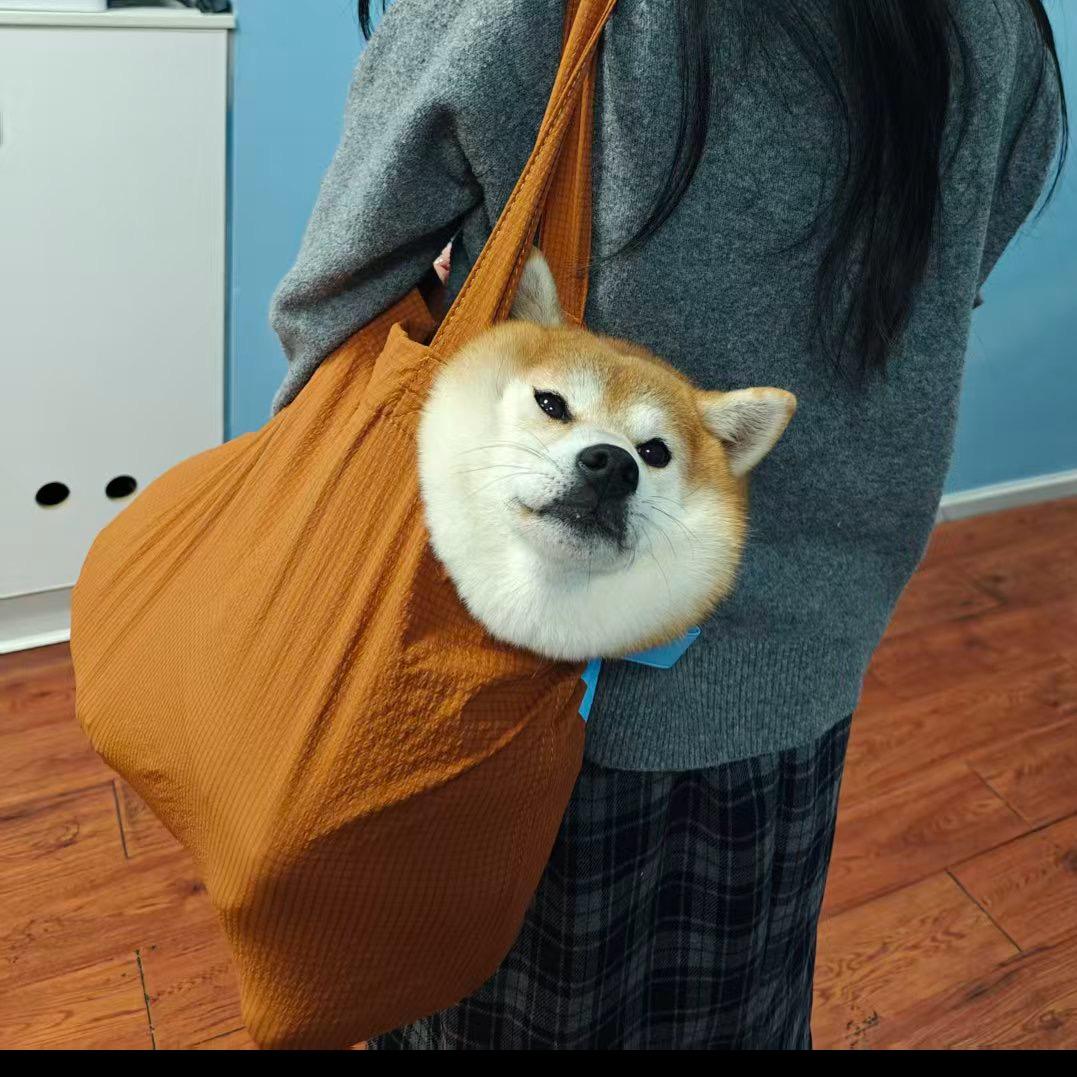 小铃铛🔔