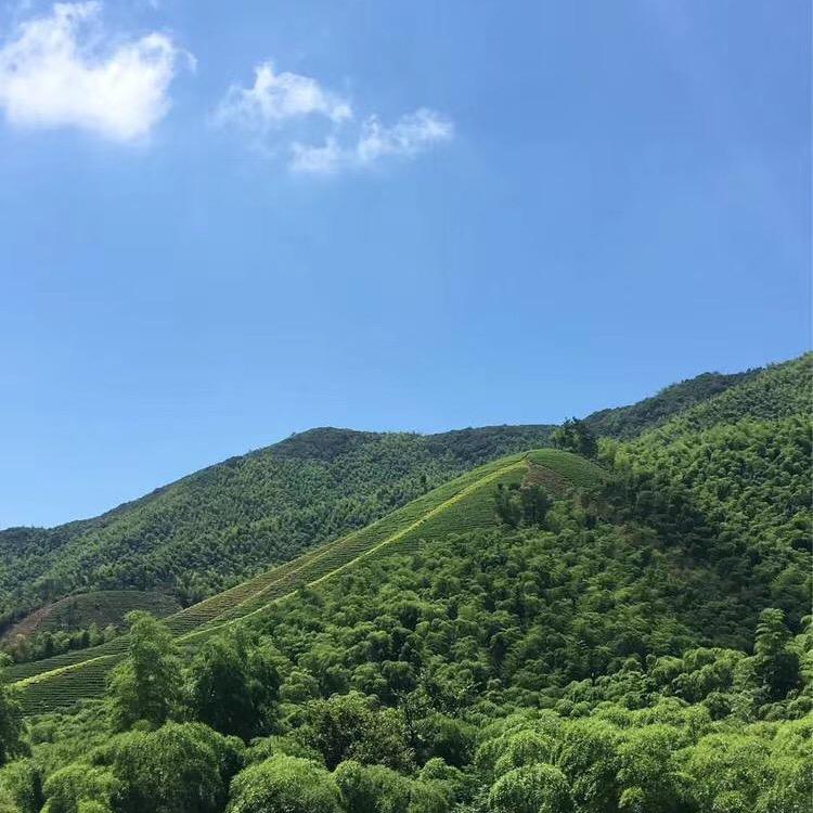施教练百佳汽校