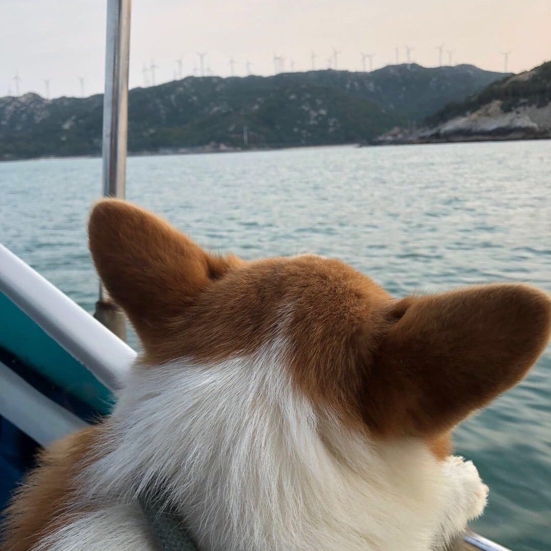 🌈熊熊🐹