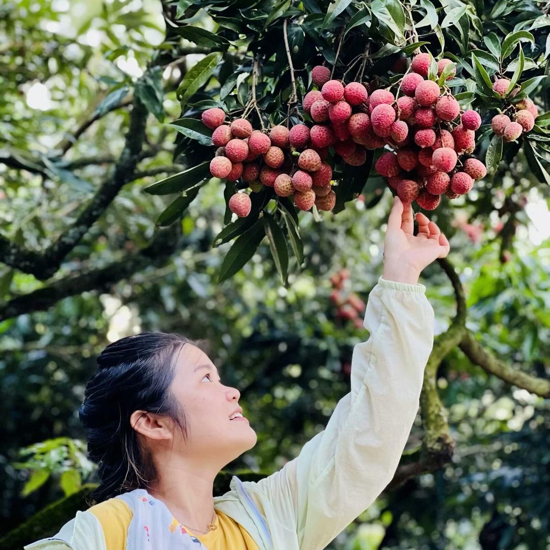 高州陈陈