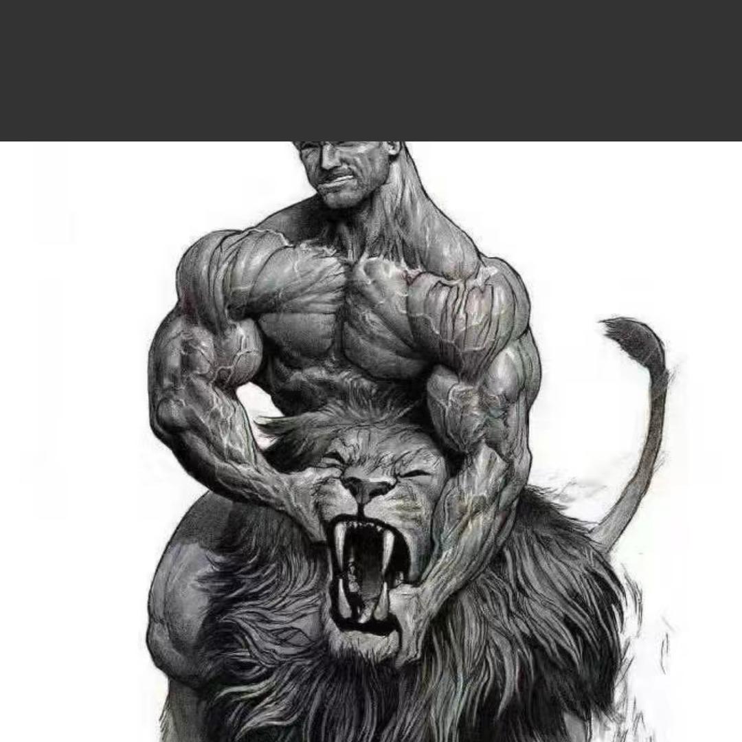 🔥风云虎啸🔥