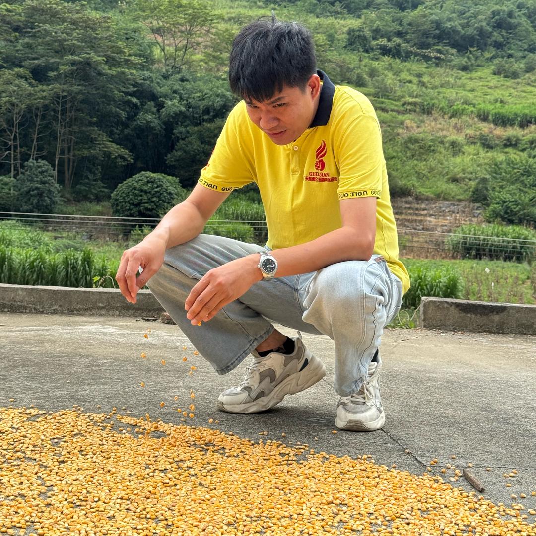 大番薯邦选威仔