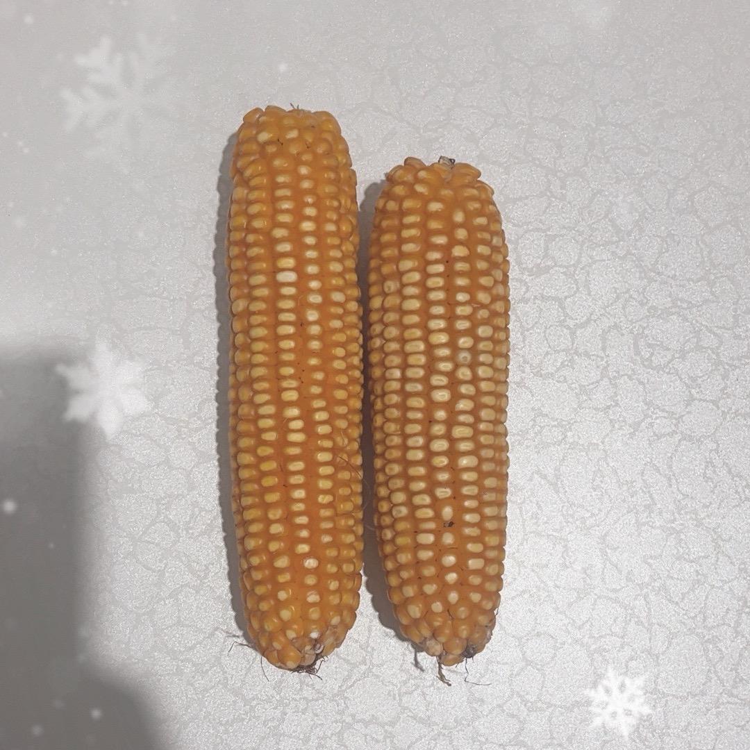 源头工厂003