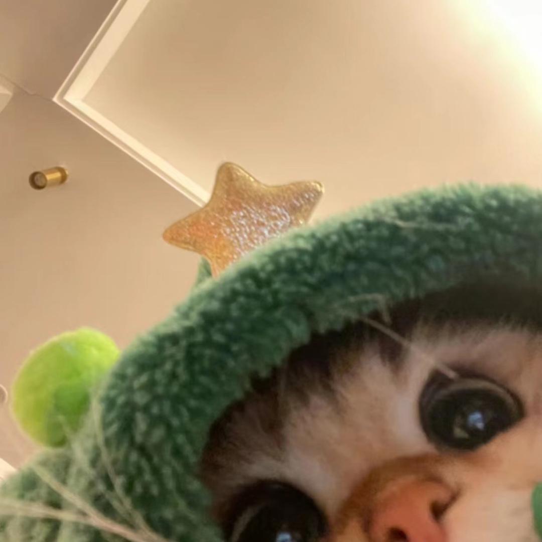 炸毛小羊卷