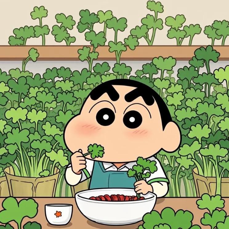 爱吃香菜不爱葱