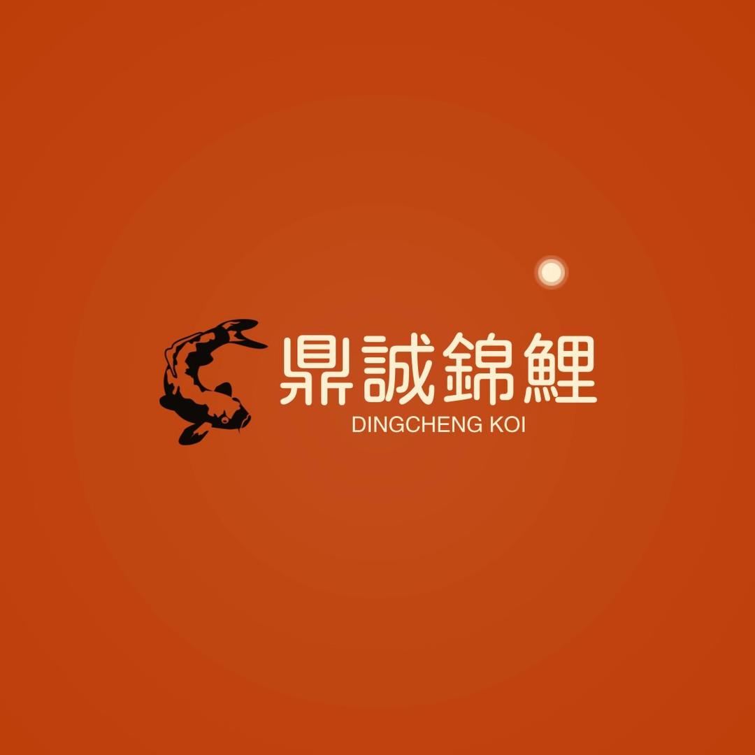 鼎诚锦鲤