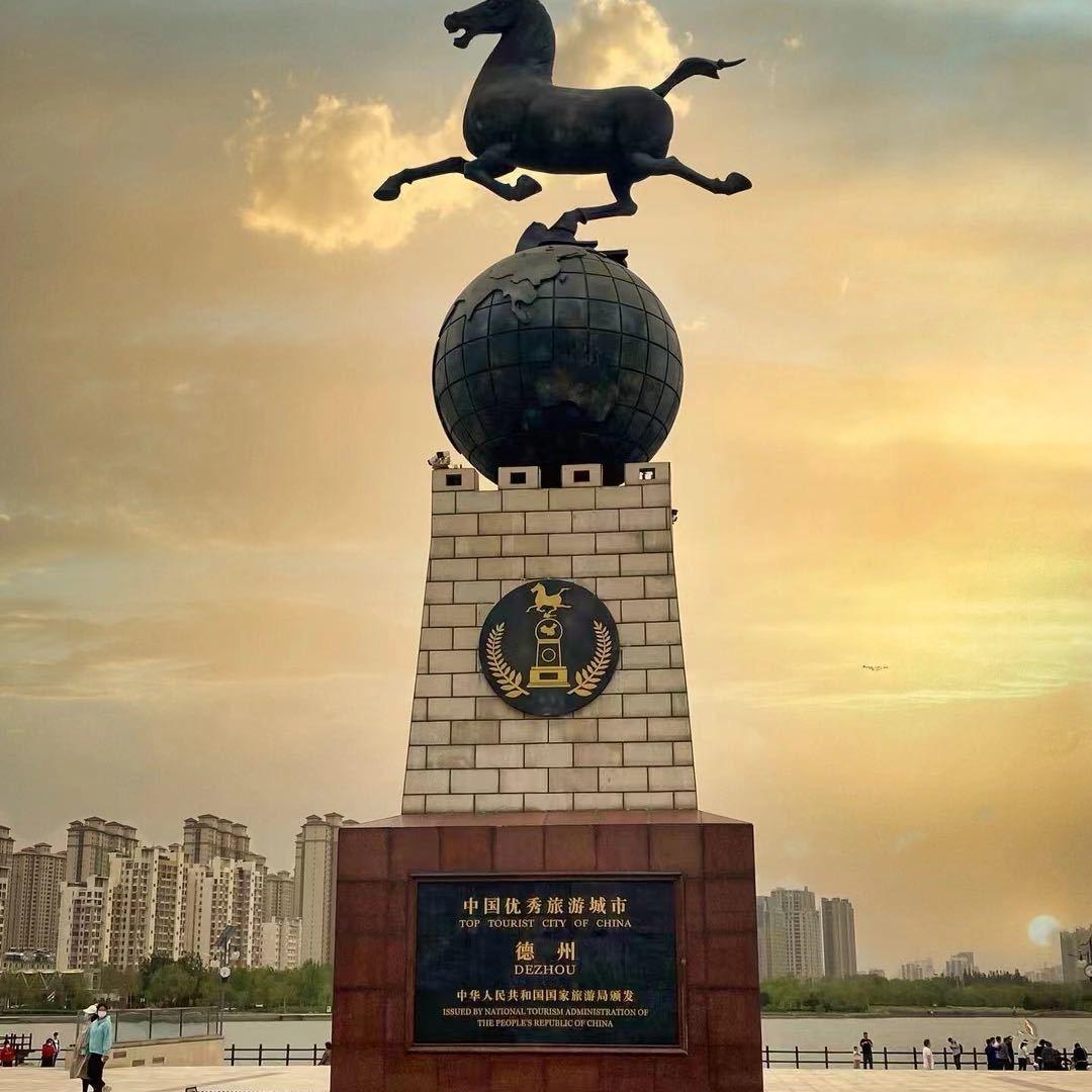 我心向阳玩收藏