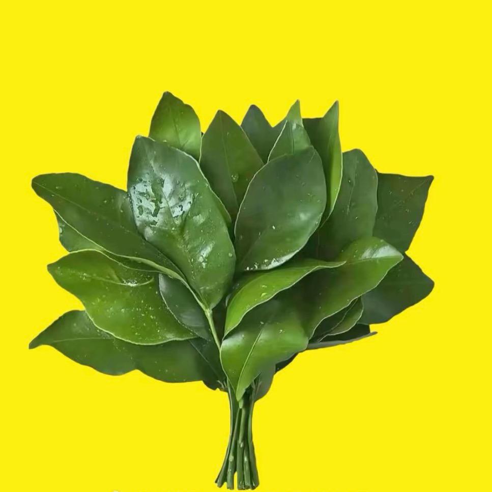 .哈