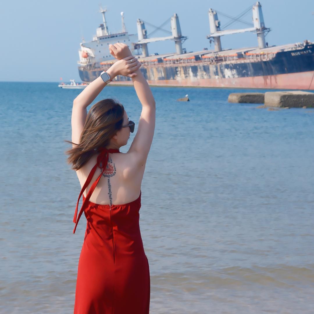 ω陈ོ天睡大觉🌵