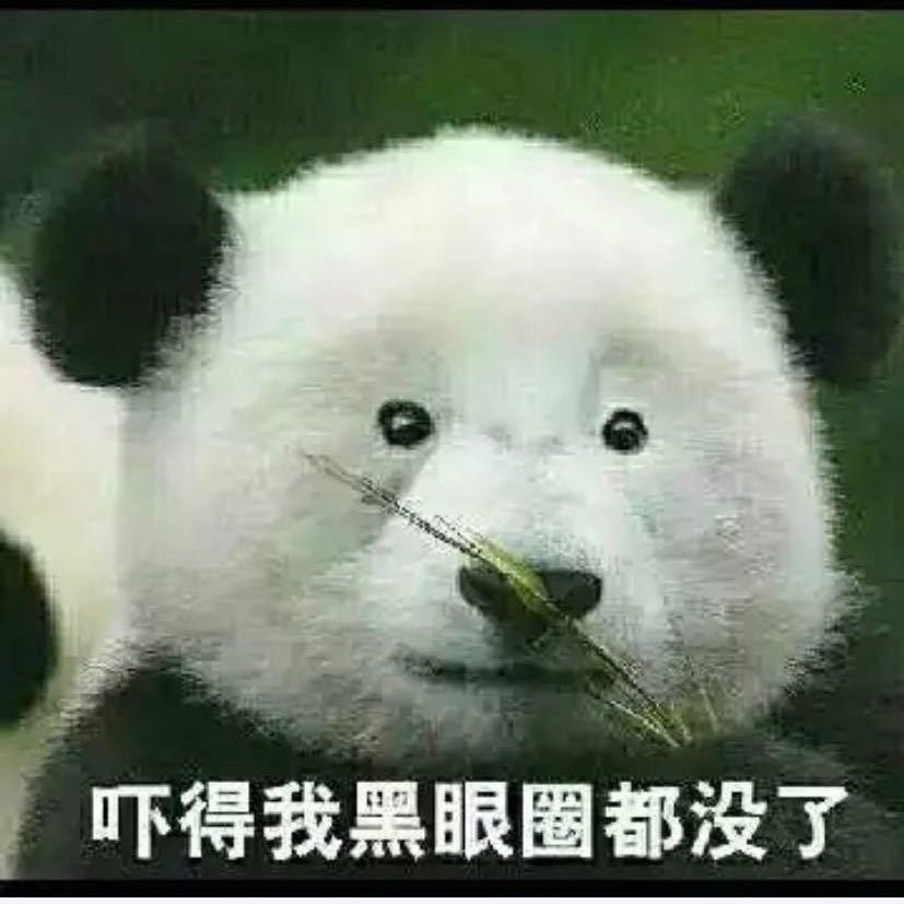 胖fufu滴大聪哥