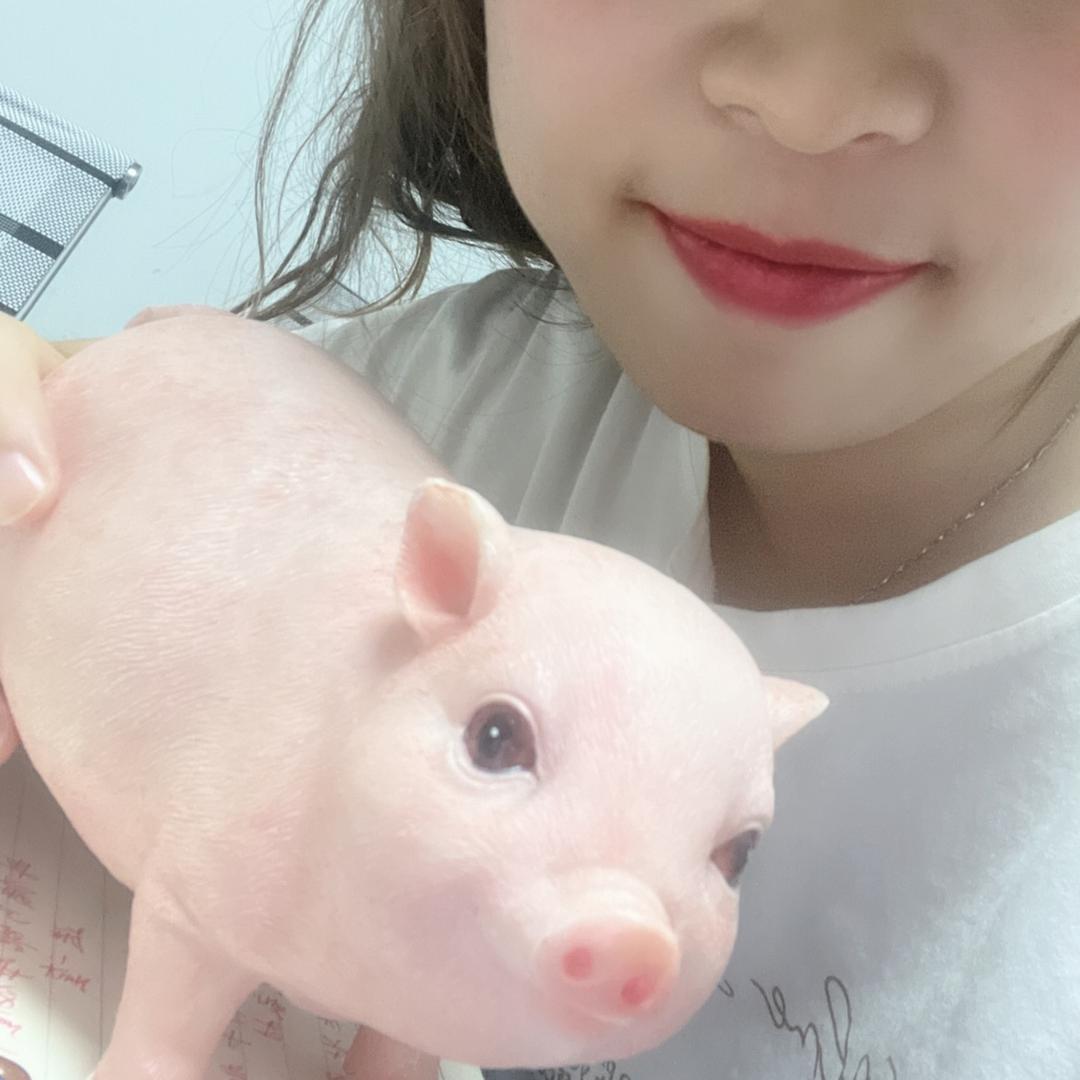 小帆聊养猪