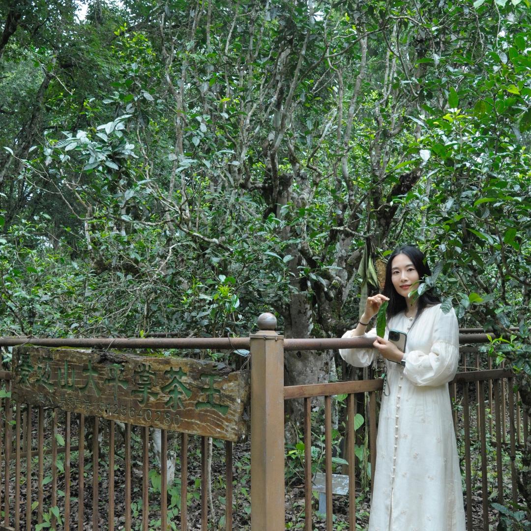 鹿鸣呦呦