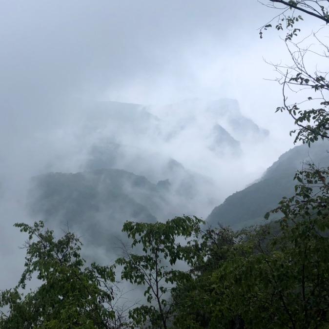 蝉鸣的夏季