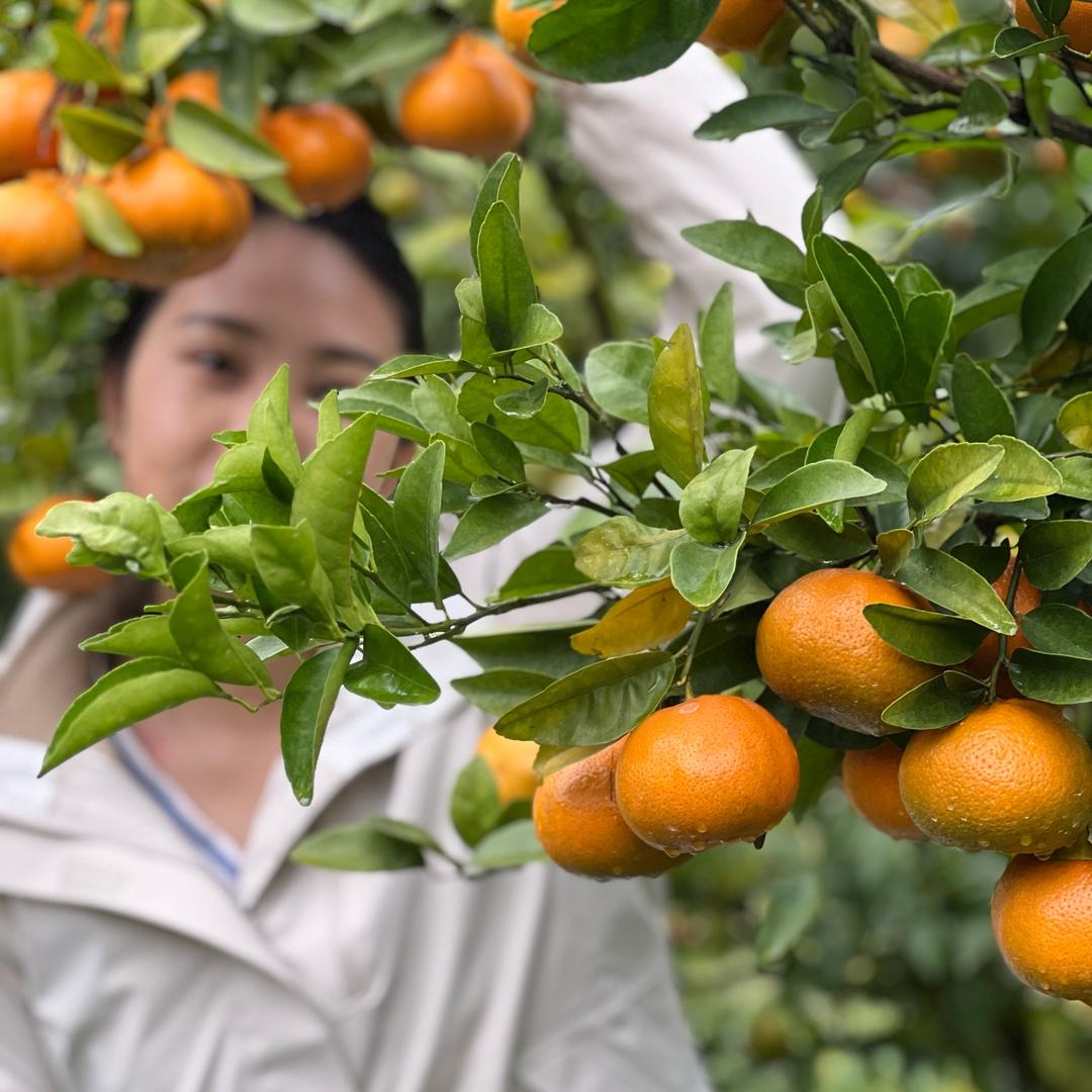 好姊妹农贸市场