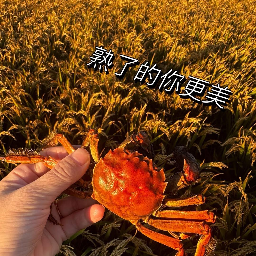 澄居海鲜专营店