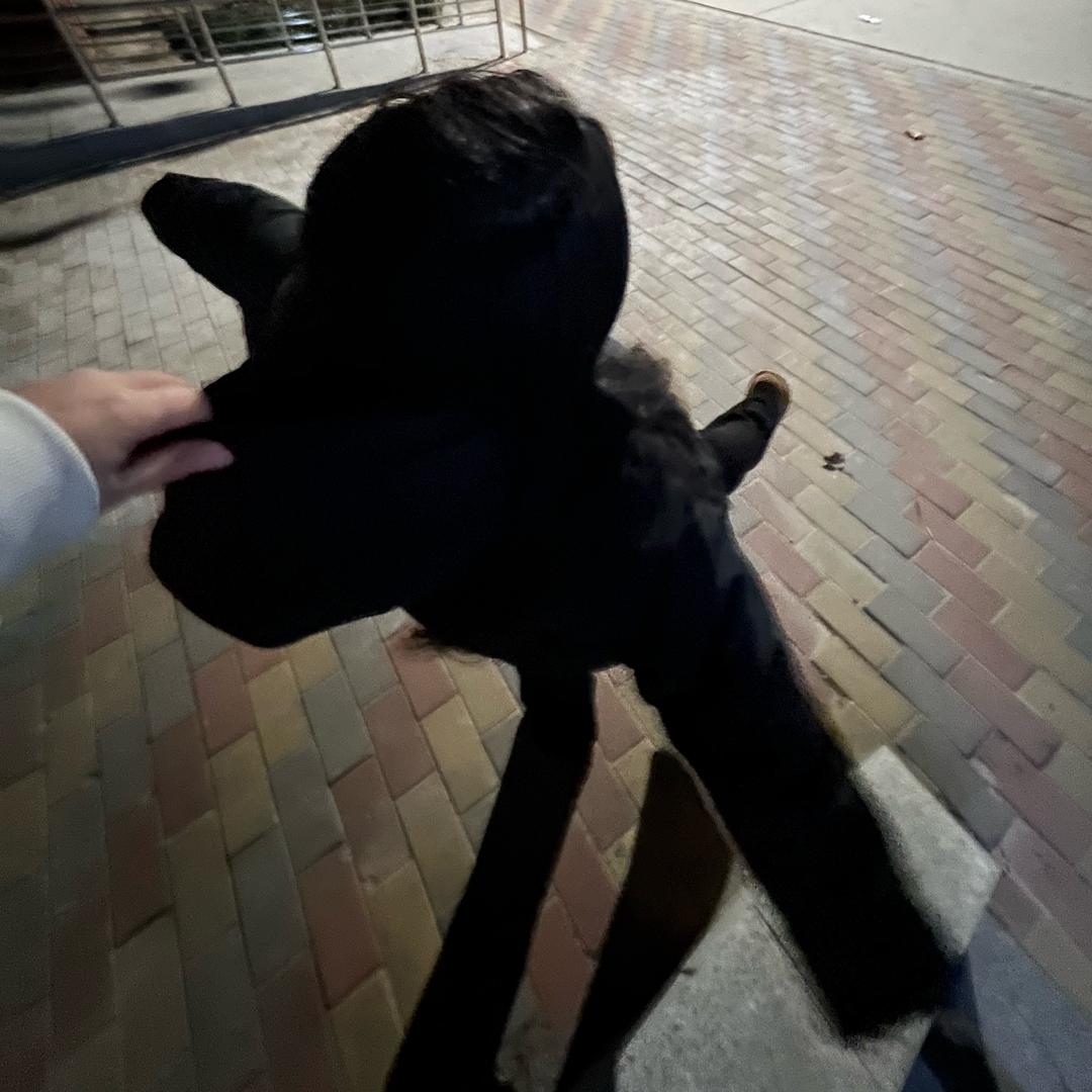 慈酱酱酱