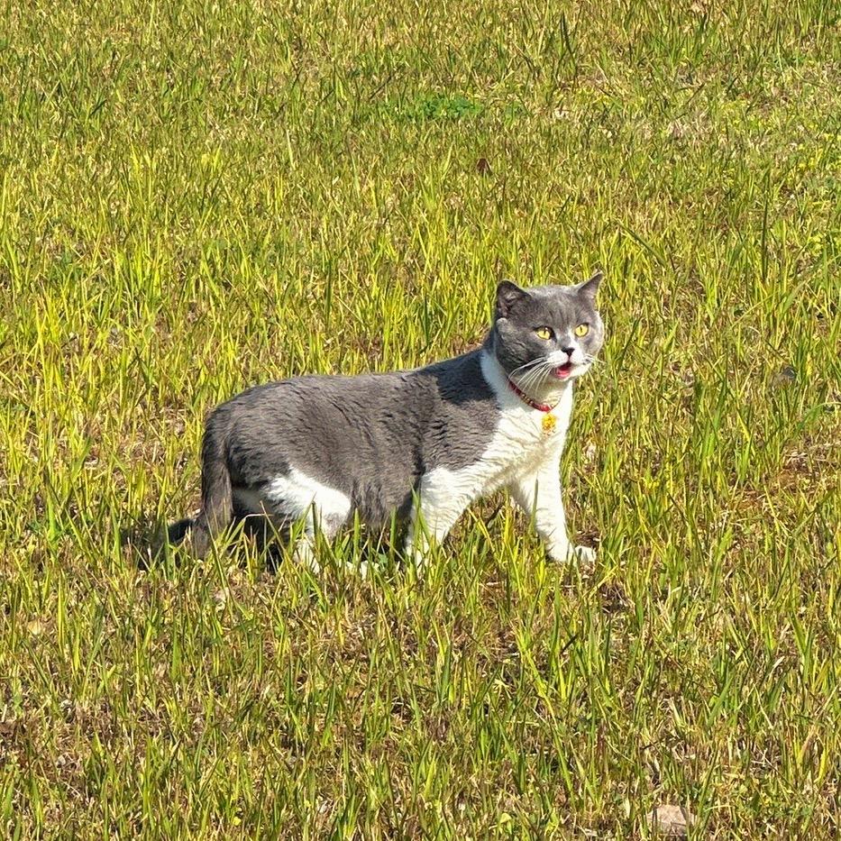 李李李李什么李