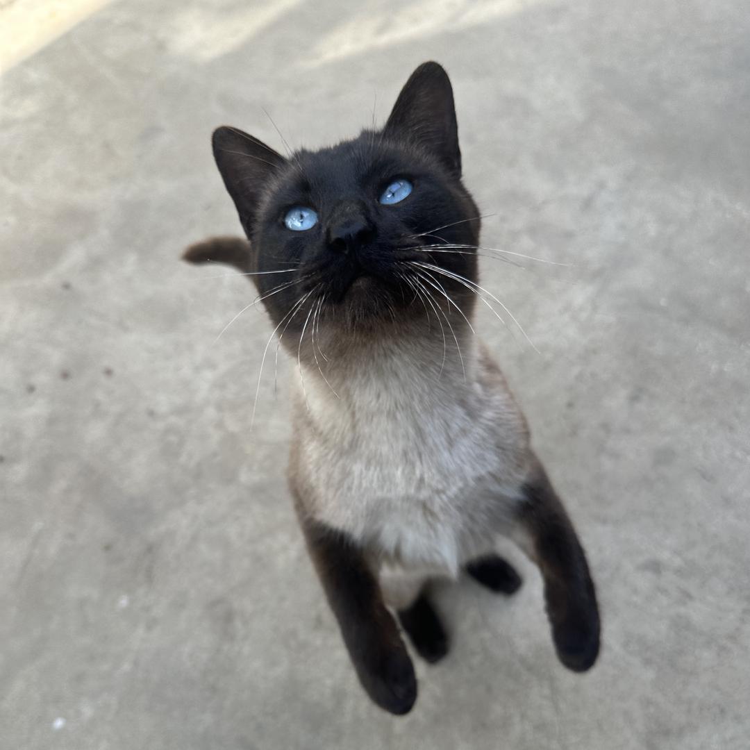 23268309802的头像