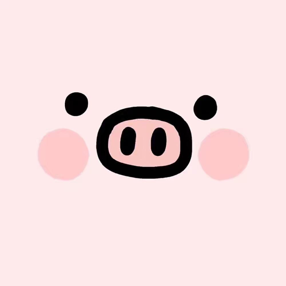 小波仔