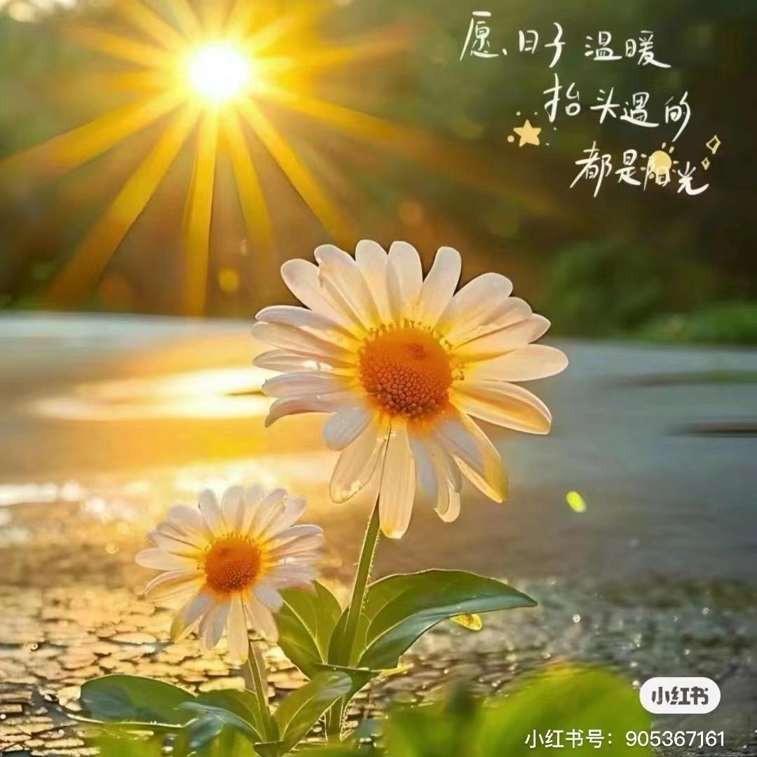 @༄🌸*微笑是糖ღ᭄ꦿ࿐: ໑ຼₒ₂₃