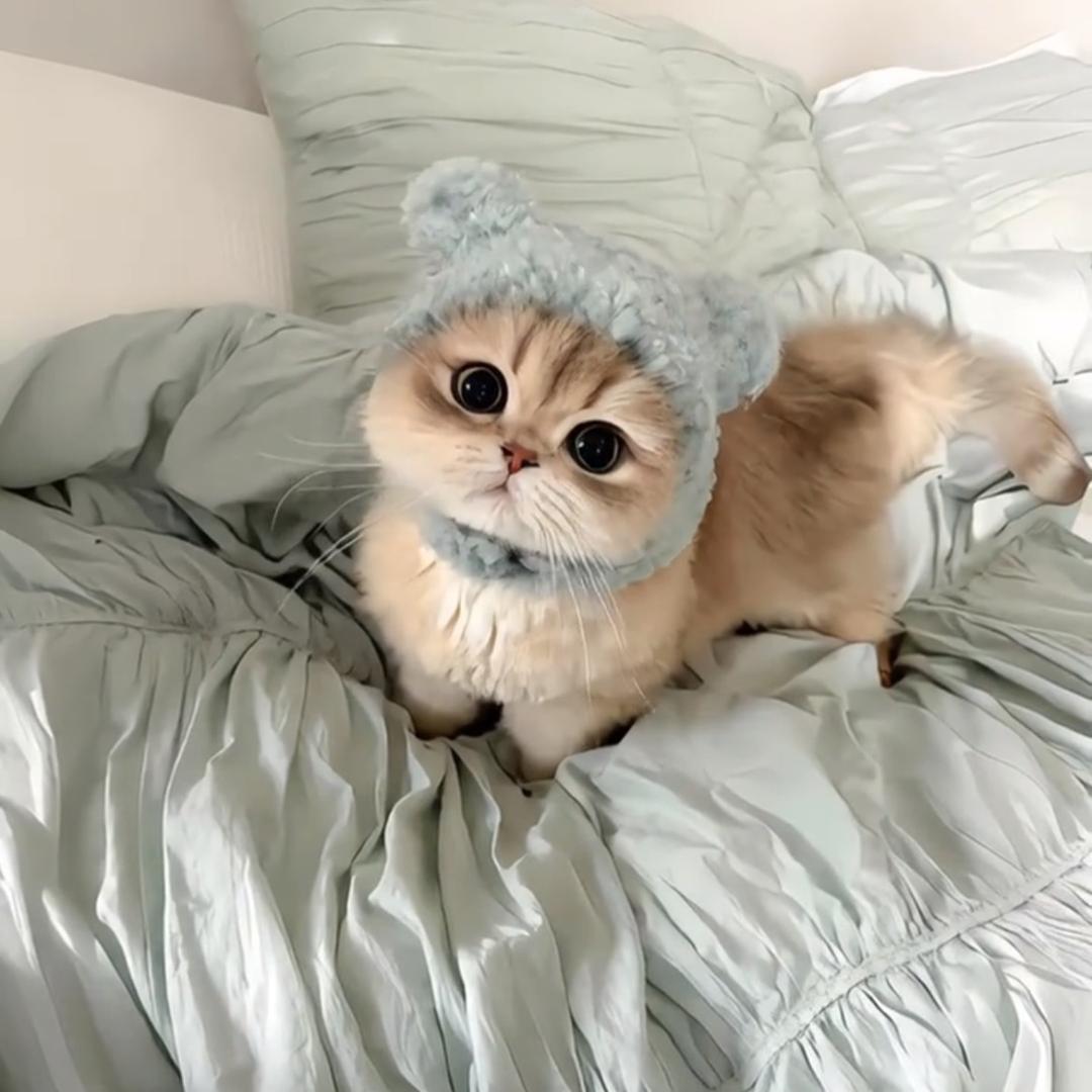 哈哈.