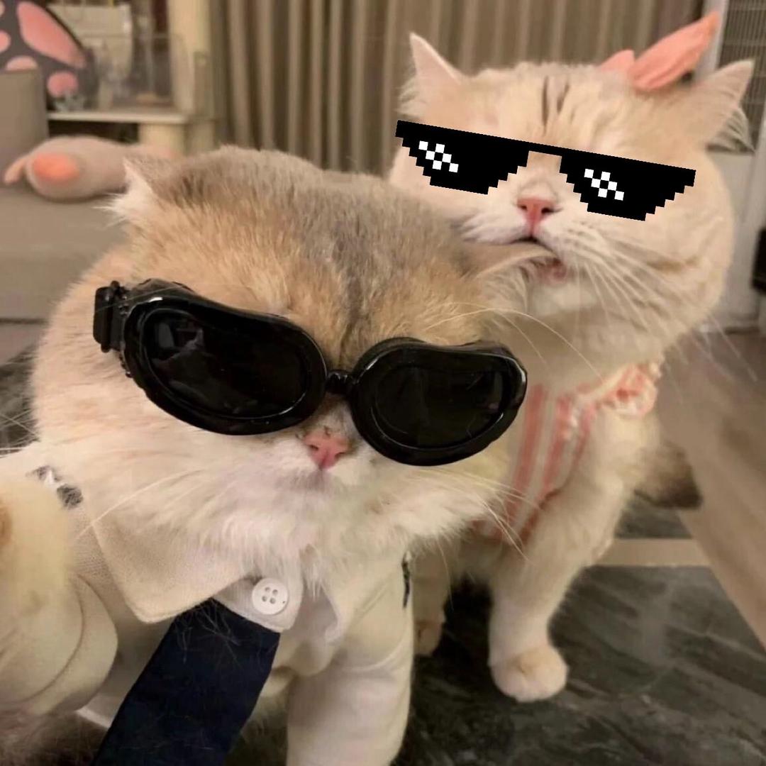 𝟞𝟞🀐