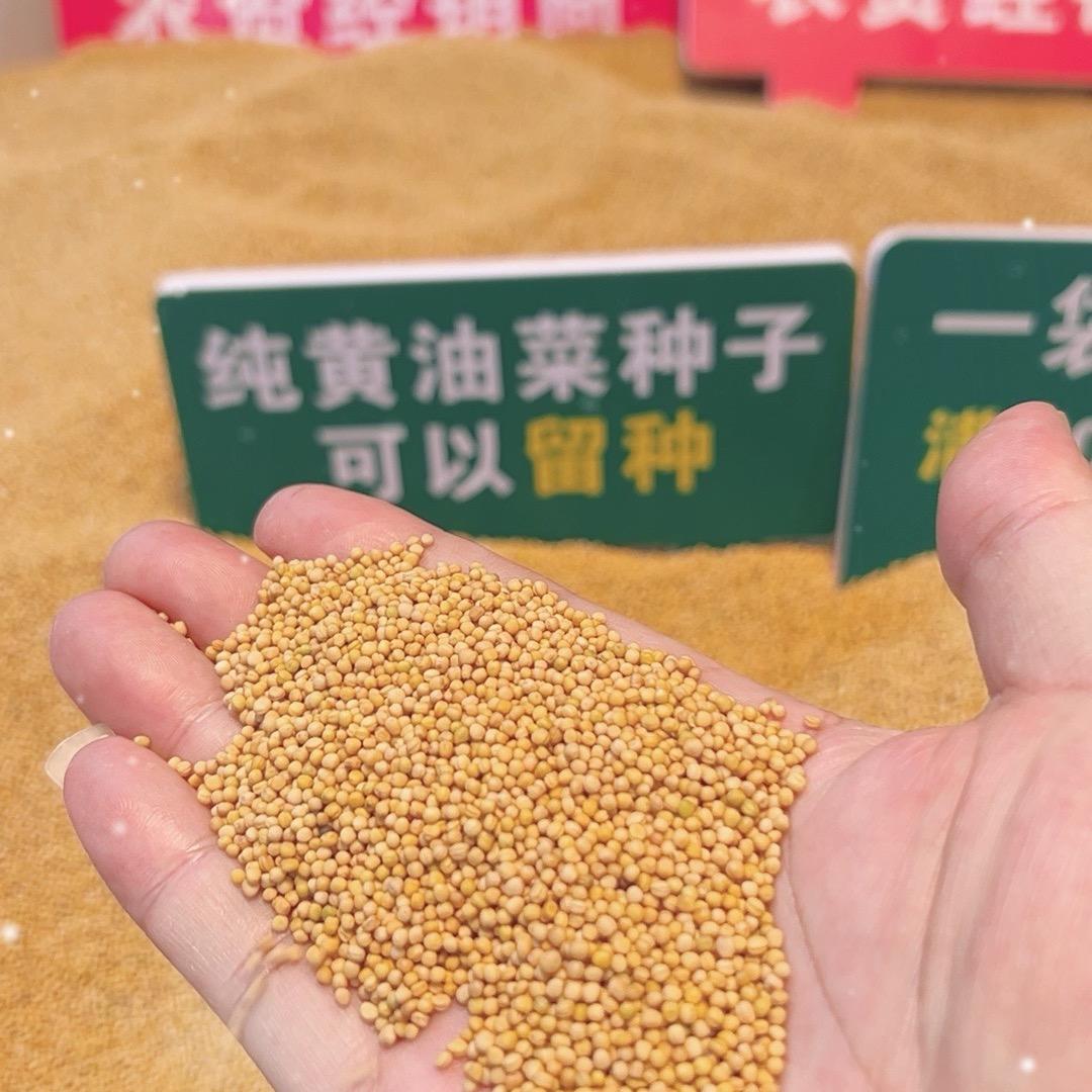 花博农业