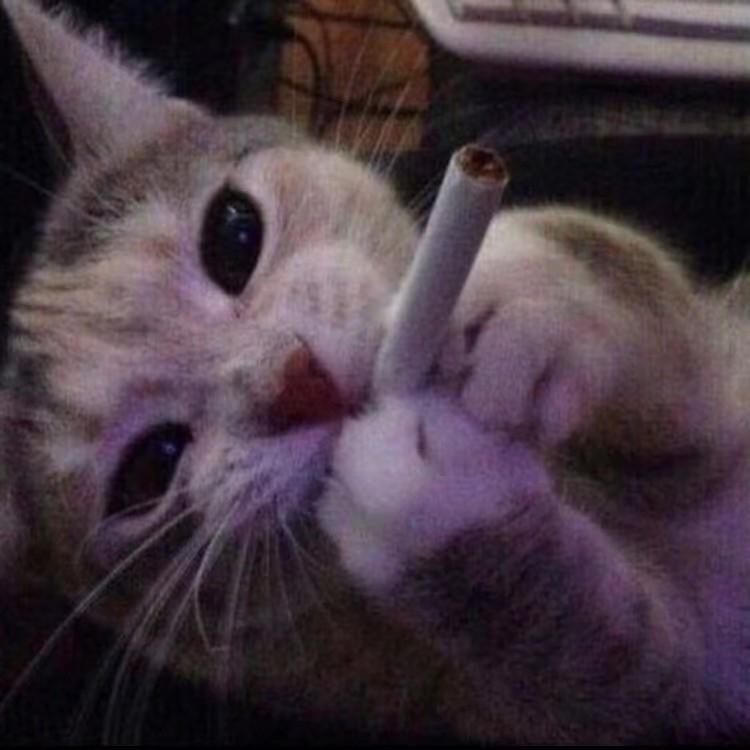 帅死丈母娘