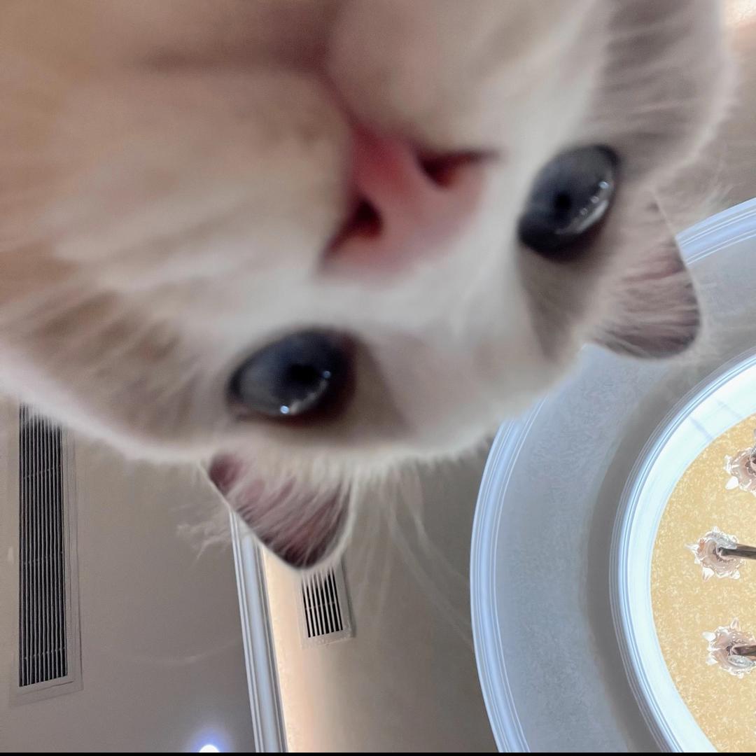 你在看什么