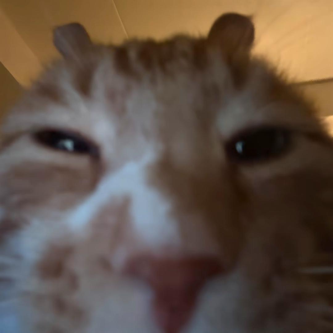 想吃土豆泥-_-