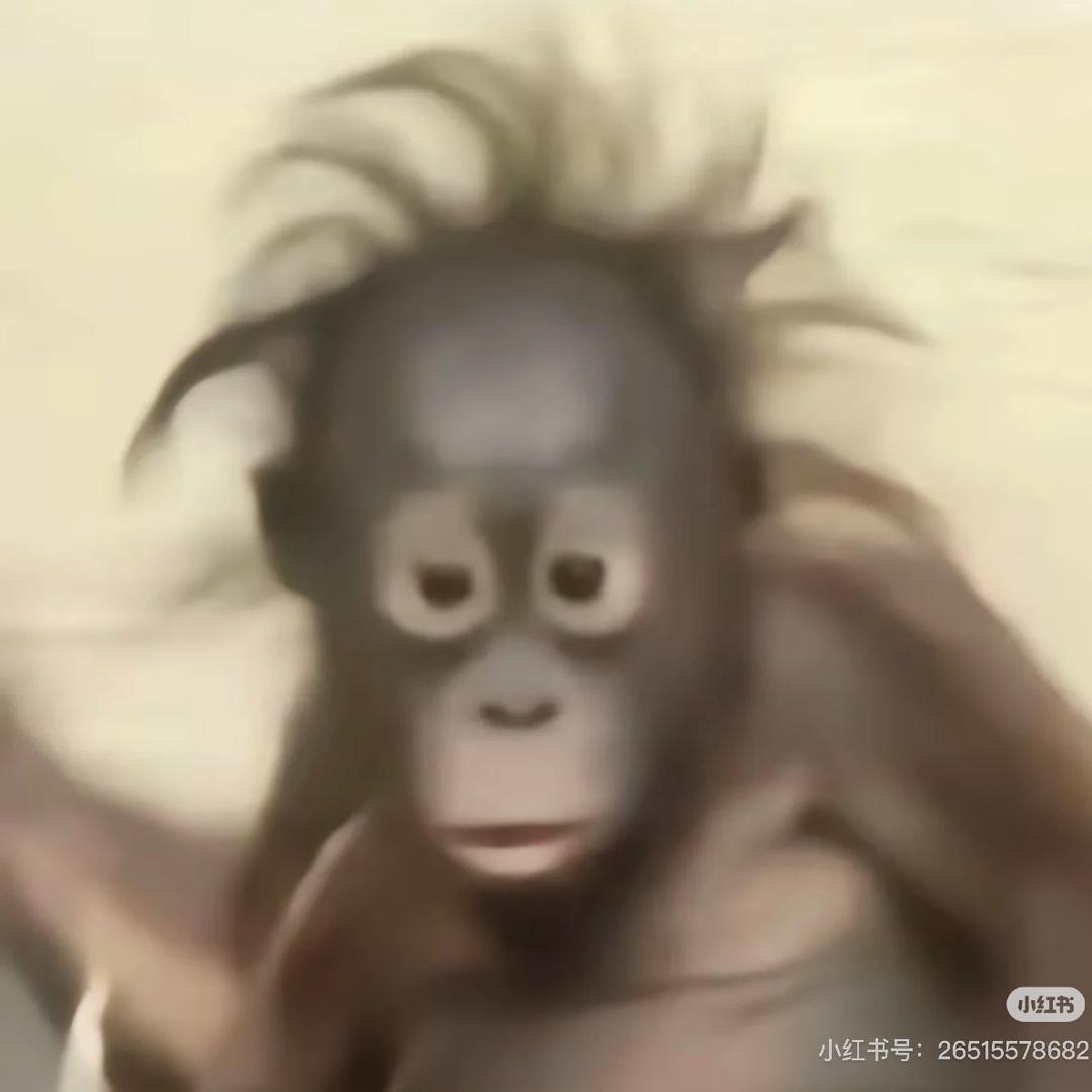 喝口鱼汤