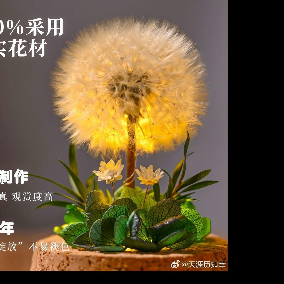 妞妞老师