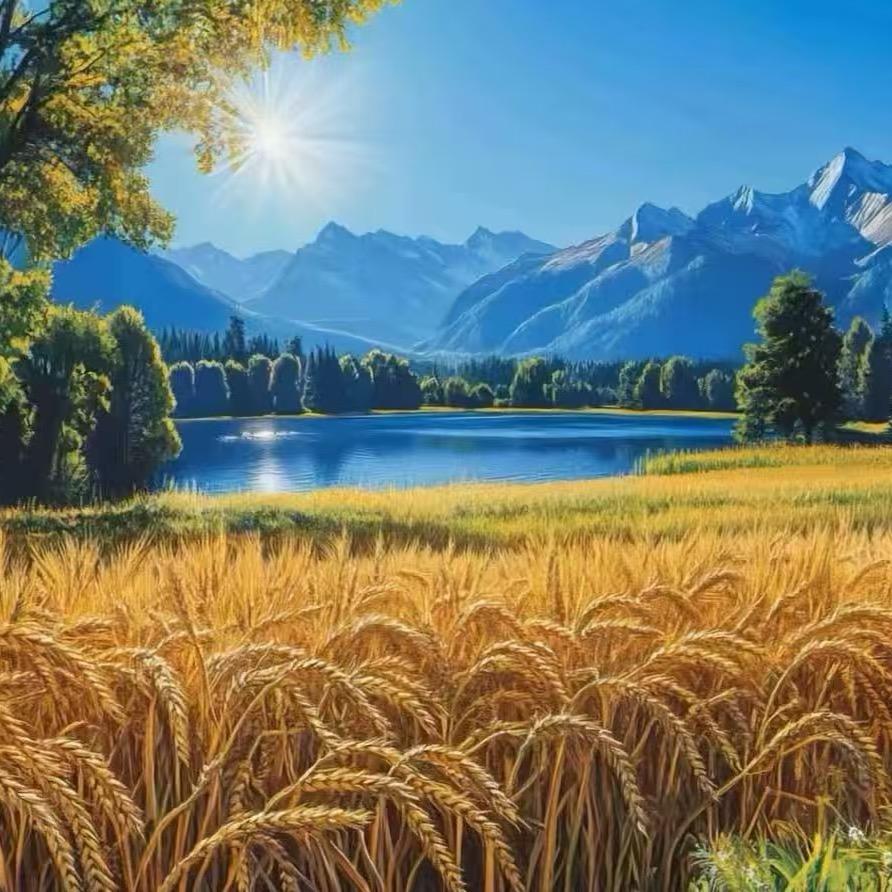 萍鸿（家具、灶台、玻璃）贴膜