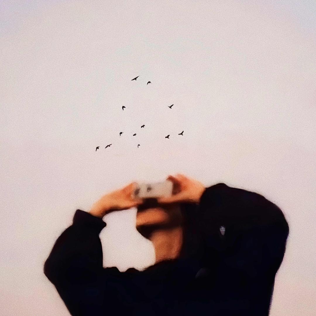 草莓专业剔籽石师傅