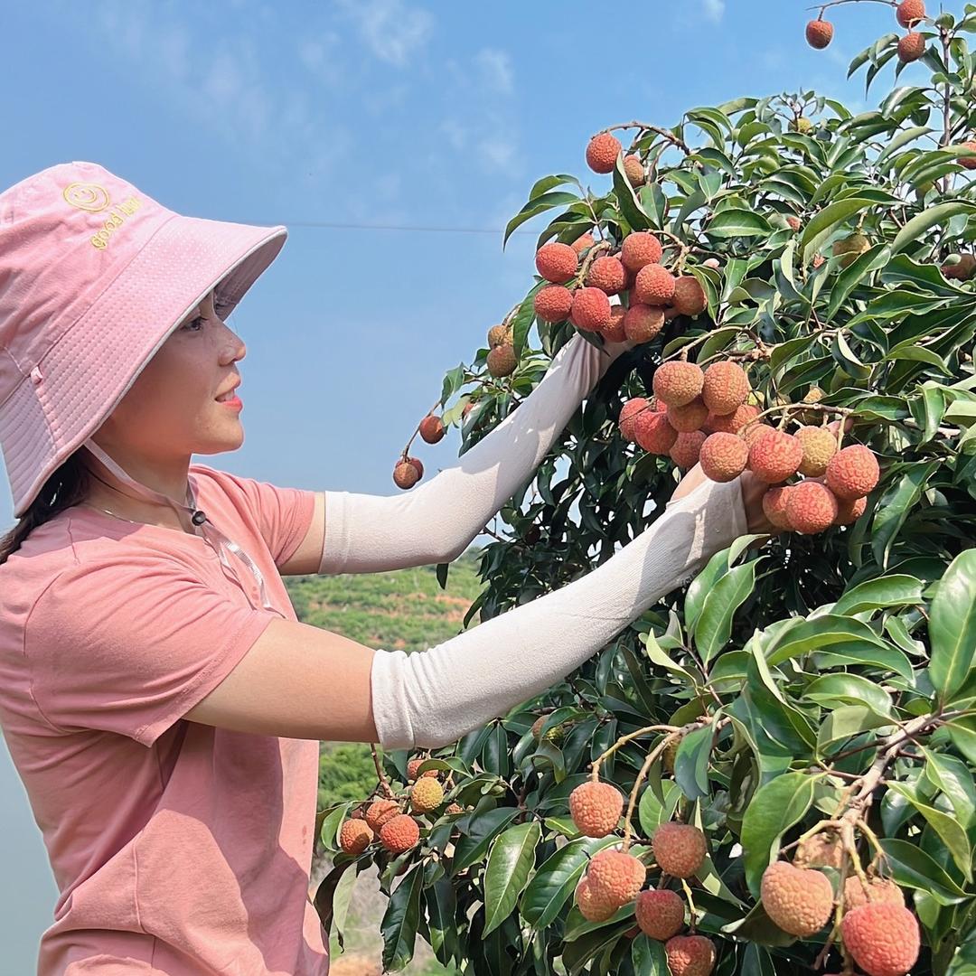 颜农千果生鲜