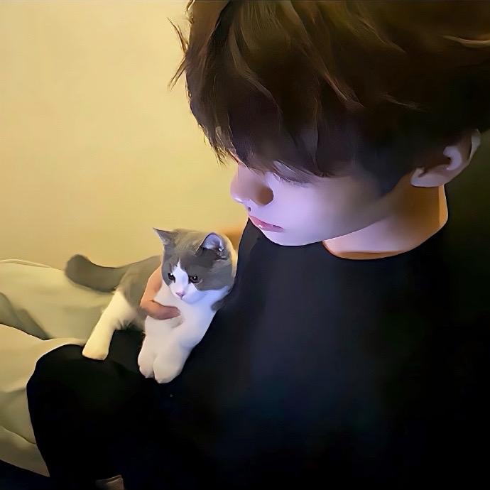 小猫战士🪖