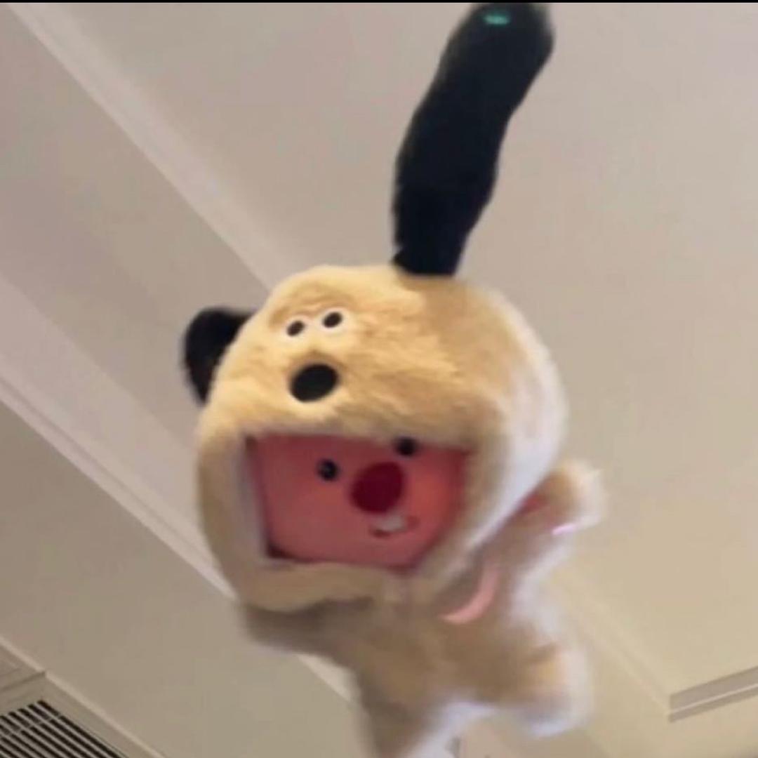 麻辣鱿鱼徐