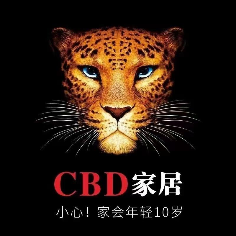 岳池CBD家居