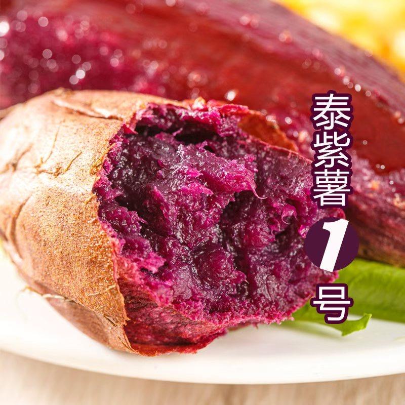 泰紫薯1号紫宝