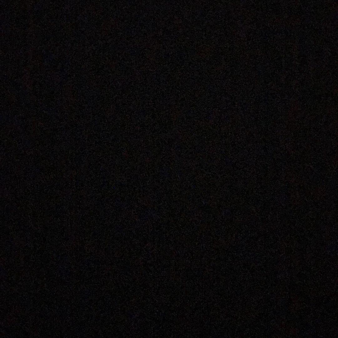 🐴🐴🐴