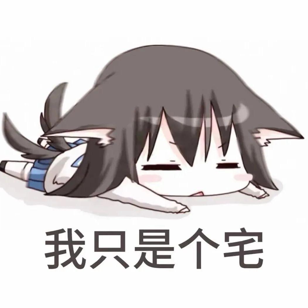 呆呆王