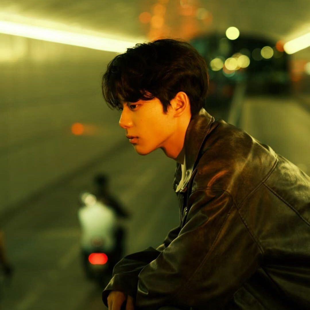 摄影师猫琪      🐈