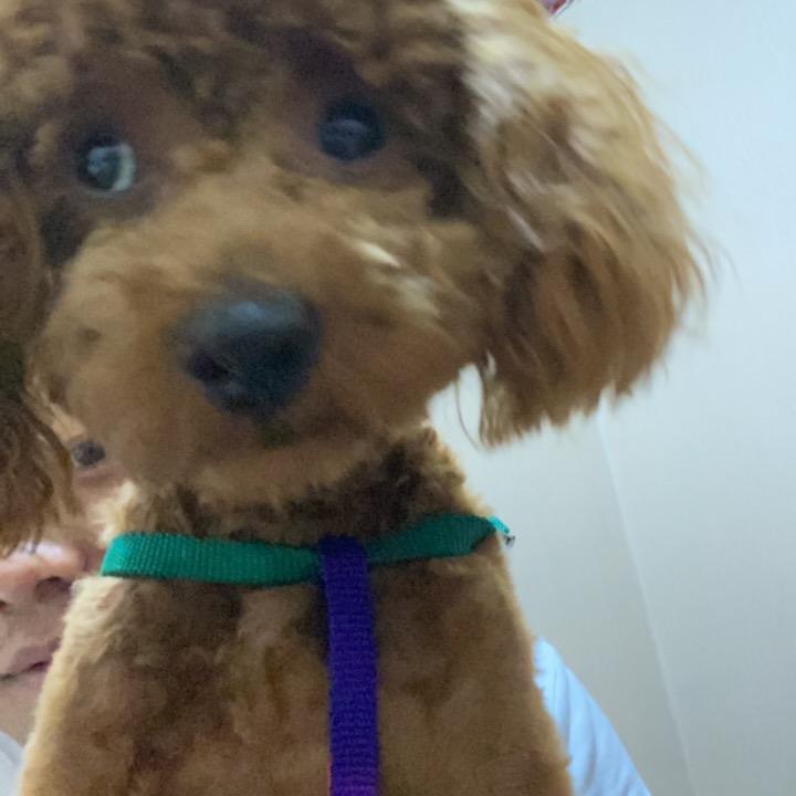 我除了吃只有睡