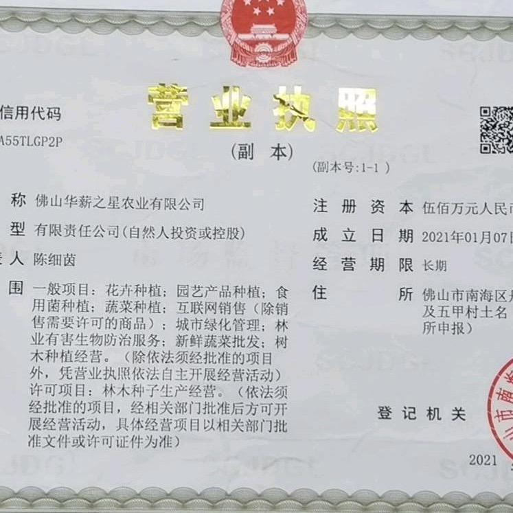 华薪园林绿化基地
